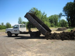Dumping load of manure